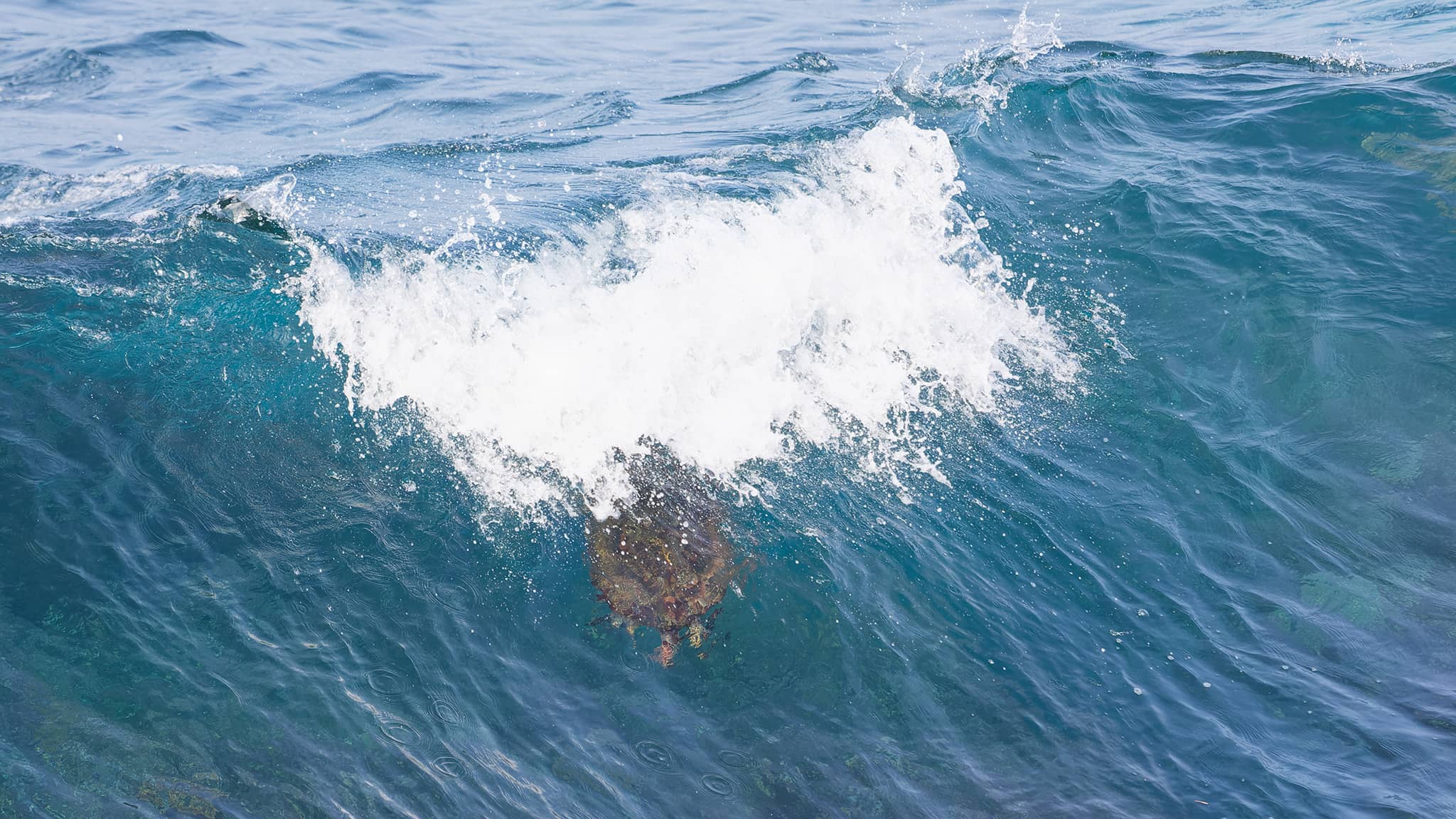 06a - Ile de Liuqiu (19).jpg